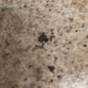 Meet your Posher, Eva